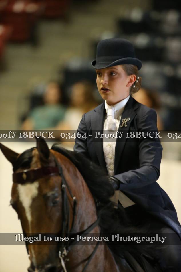 Proof 18BUCK_03464