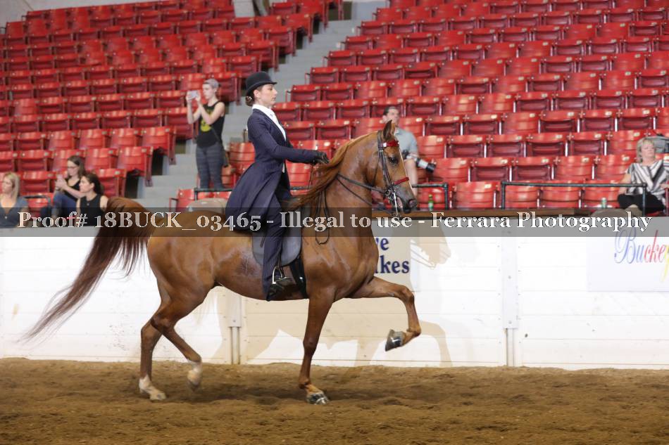 Proof 18BUCK_03465