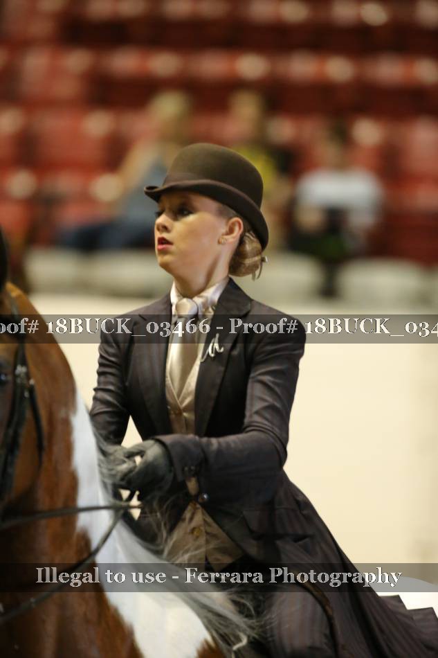 Proof 18BUCK_03466