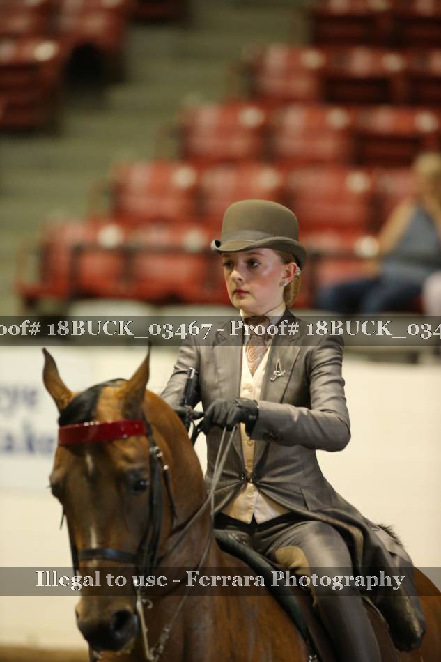Proof 18BUCK_03467