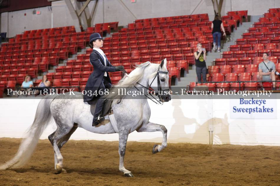 Proof 18BUCK_03468