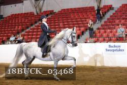 18BUCK_03468 proof