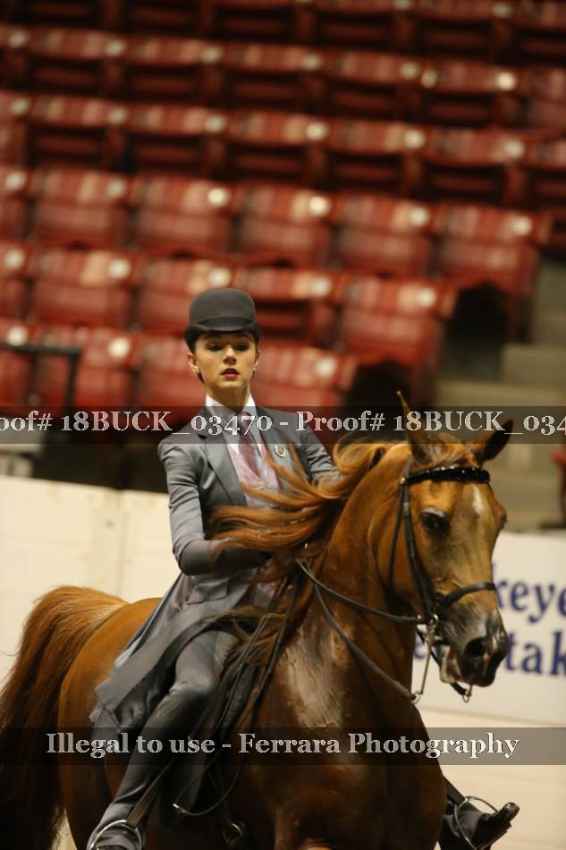 Proof 18BUCK_03470