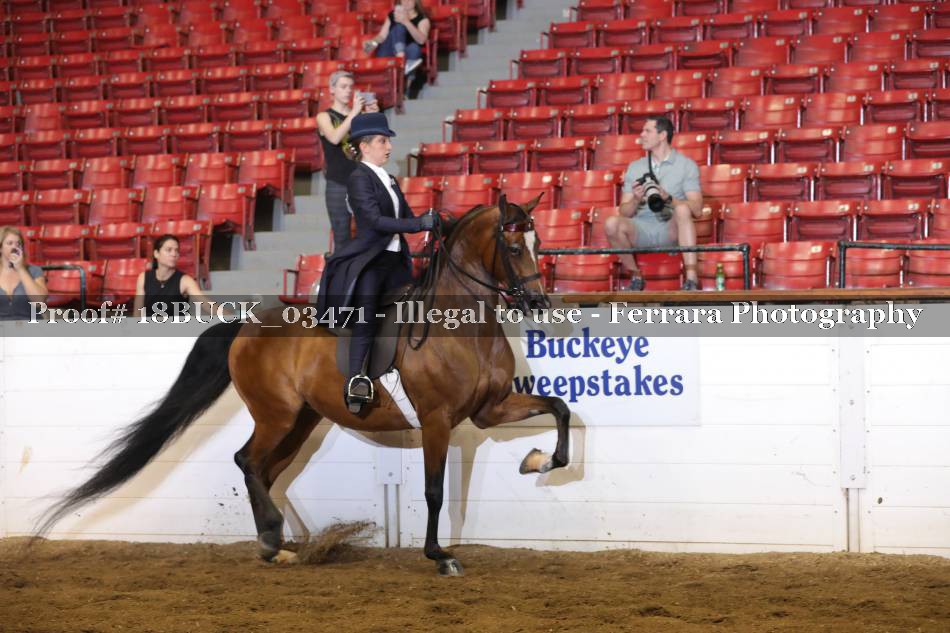 Proof 18BUCK_03471