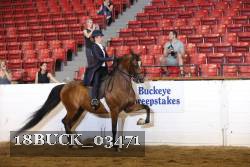 18BUCK_03471 proof
