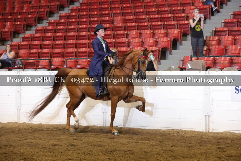 Proof 18BUCK_03472