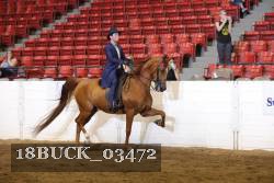 18BUCK_03472 proof