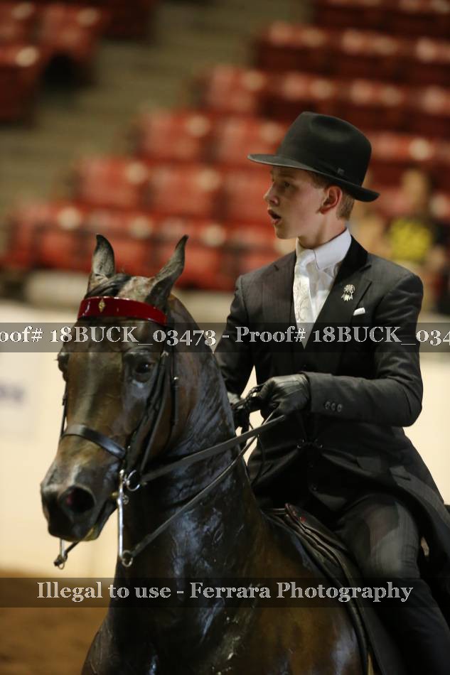 Proof 18BUCK_03473