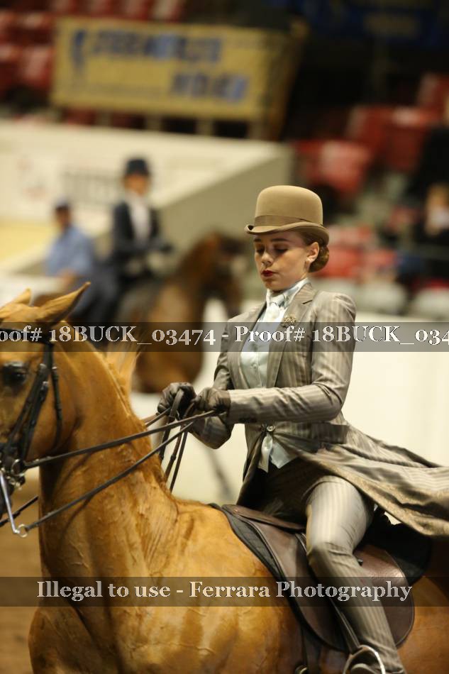 Proof 18BUCK_03474