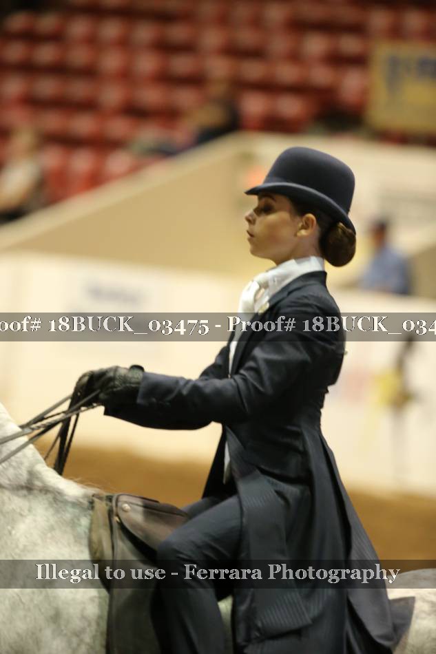 Proof 18BUCK_03475