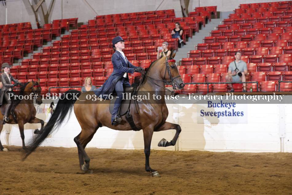 Proof 18BUCK_03476