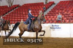 18BUCK_03476 proof