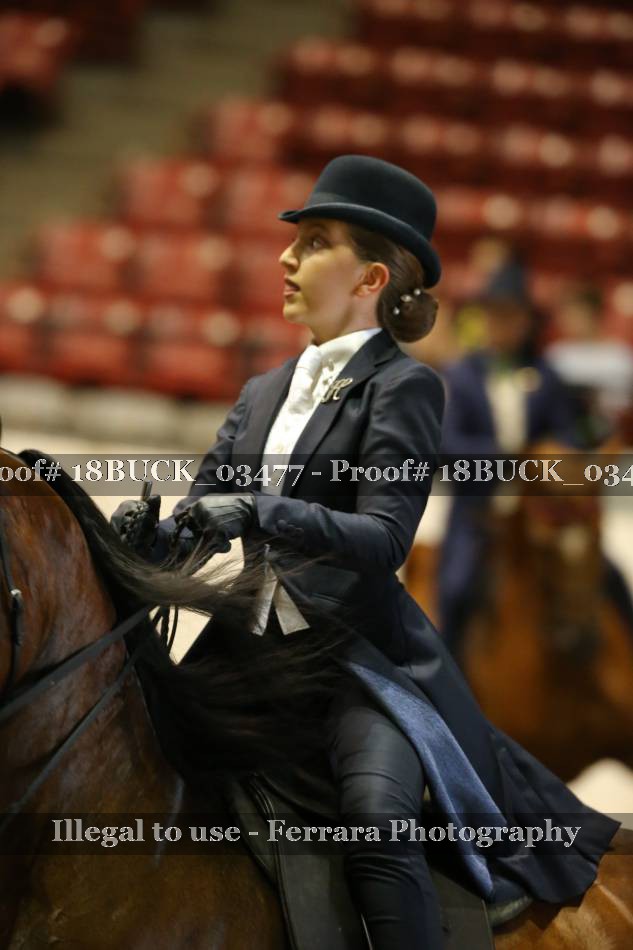 Proof 18BUCK_03477