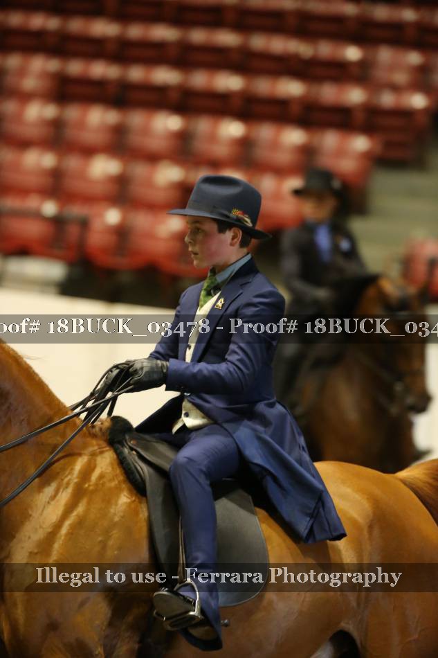 Proof 18BUCK_03478