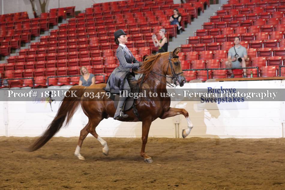 Proof 18BUCK_03479