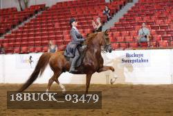 18BUCK_03479 proof