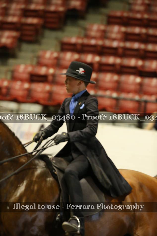 Proof 18BUCK_03480