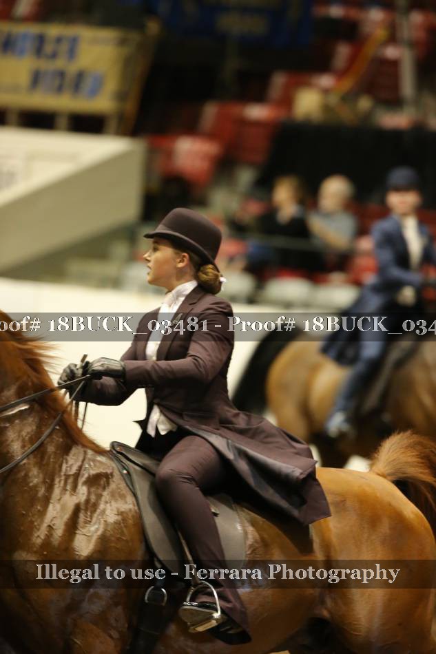 Proof 18BUCK_03481