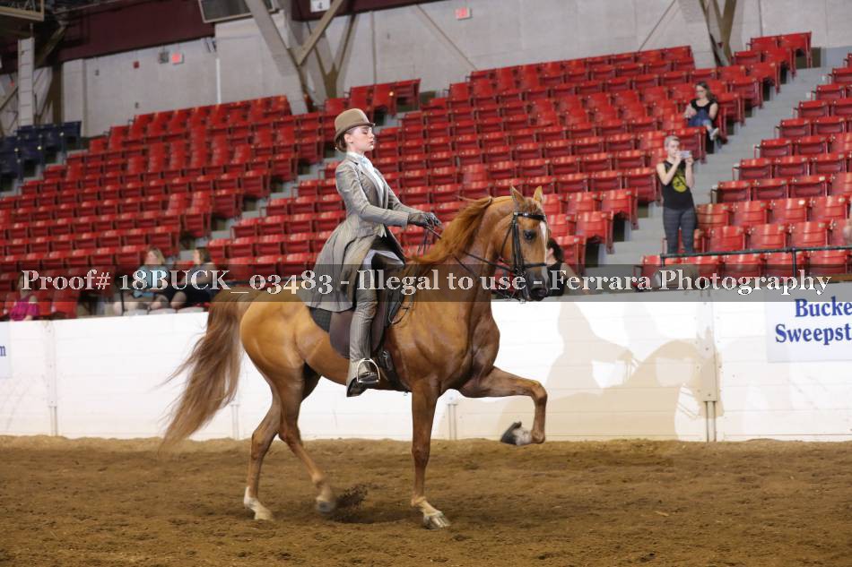 Proof 18BUCK_03483