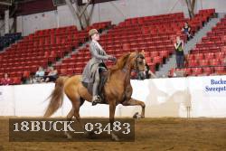 18BUCK_03483 proof