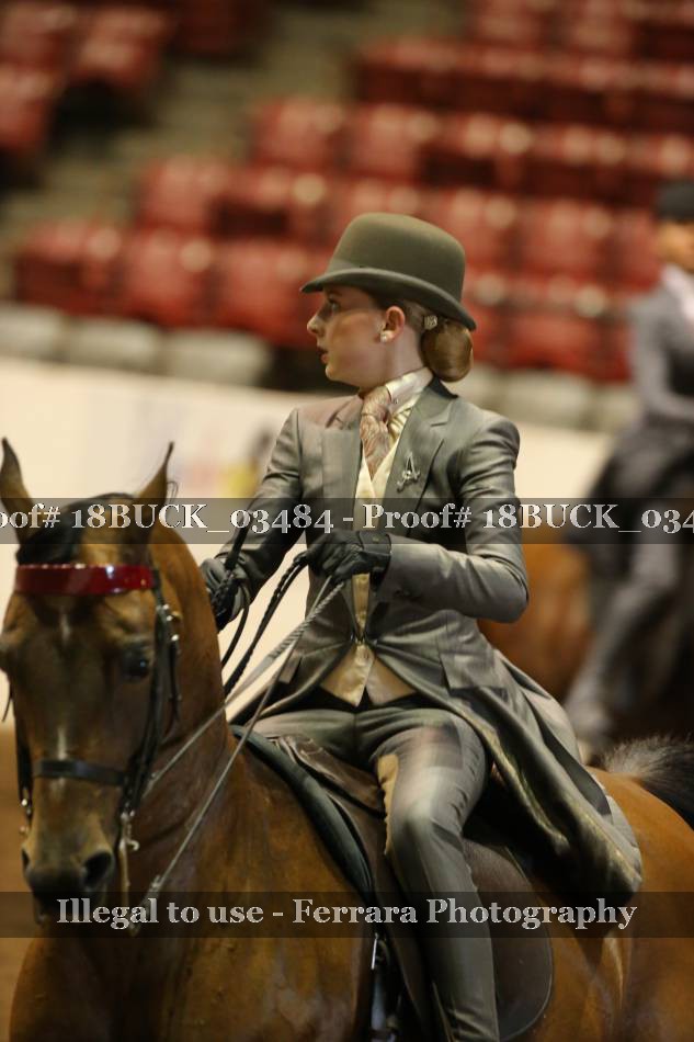 Proof 18BUCK_03484