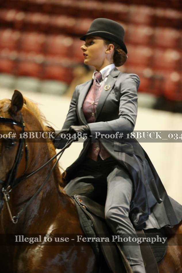 Proof 18BUCK_03485