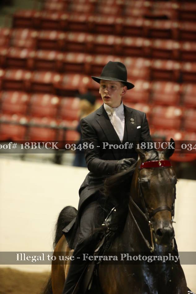 Proof 18BUCK_03486