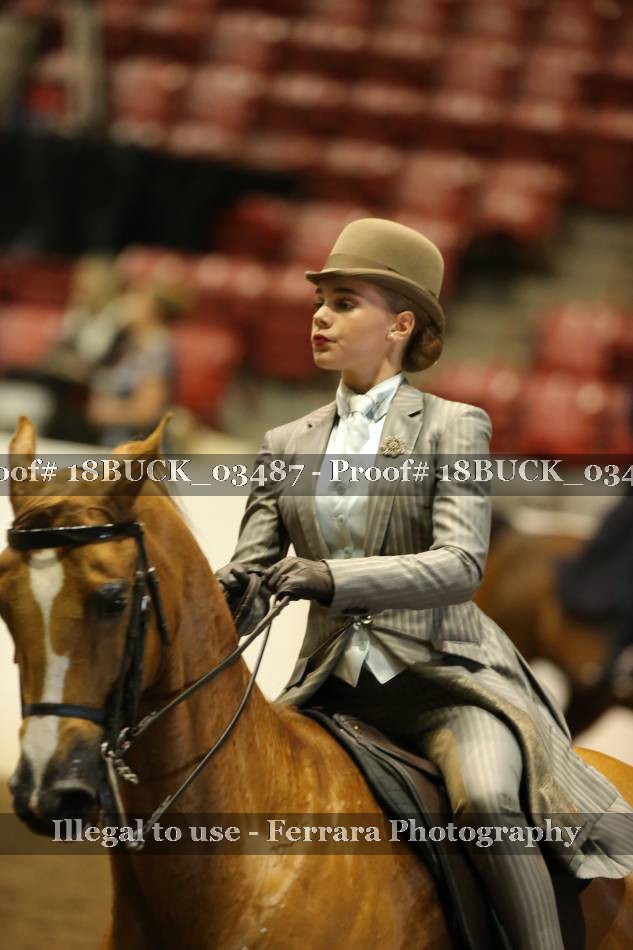 Proof 18BUCK_03487