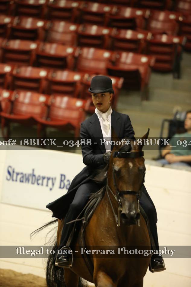 Proof 18BUCK_03488