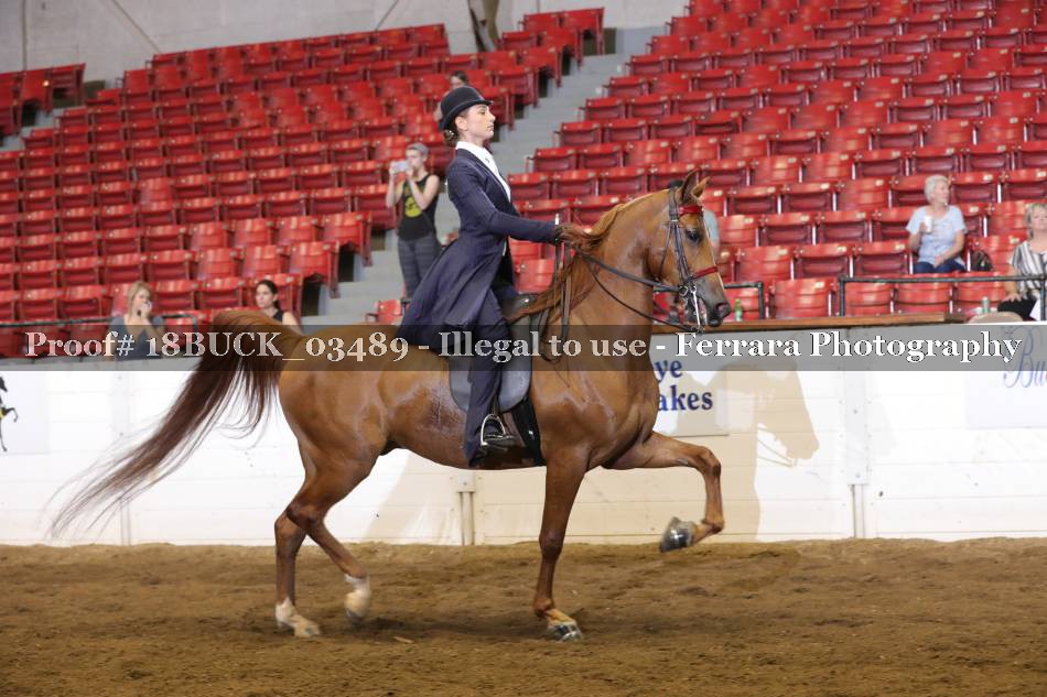 Proof 18BUCK_03489