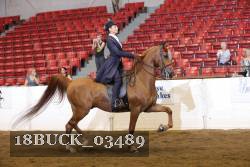 18BUCK_03489 proof