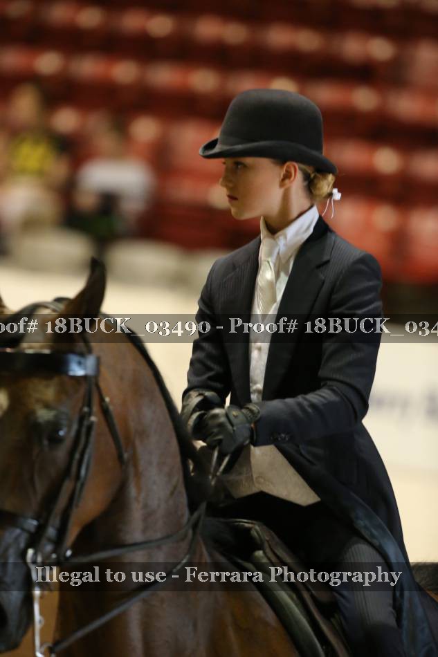 Proof 18BUCK_03490