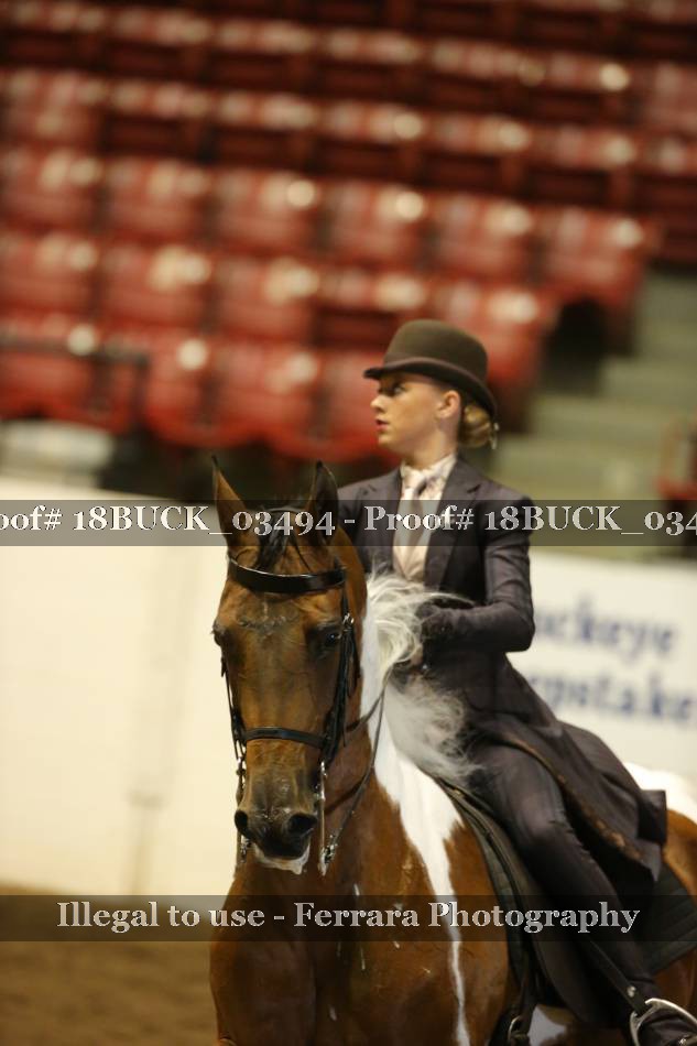 Proof 18BUCK_03494