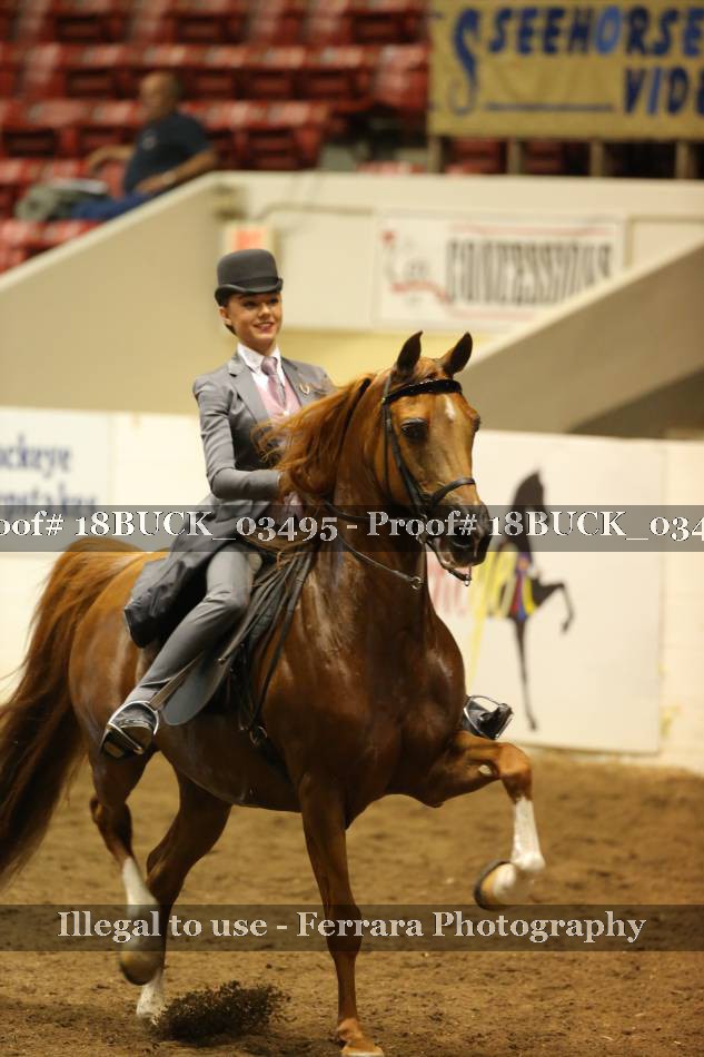 Proof 18BUCK_03495