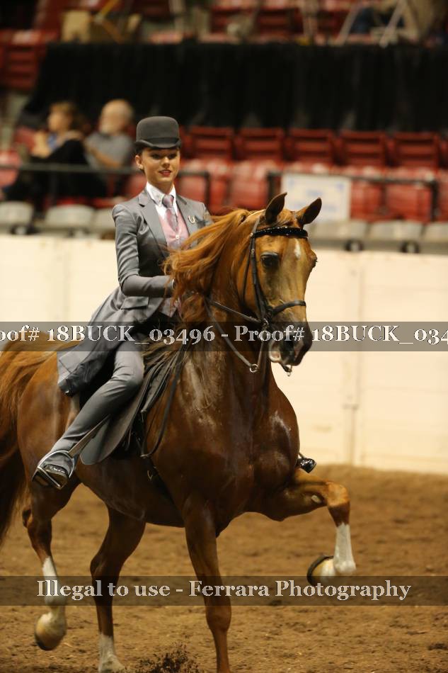 Proof 18BUCK_03496