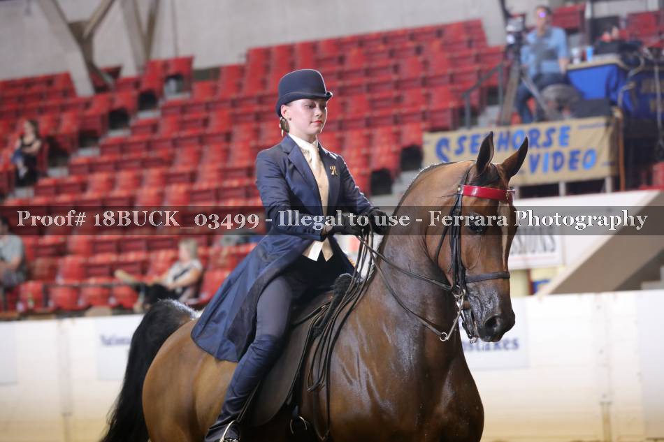 Proof 18BUCK_03499