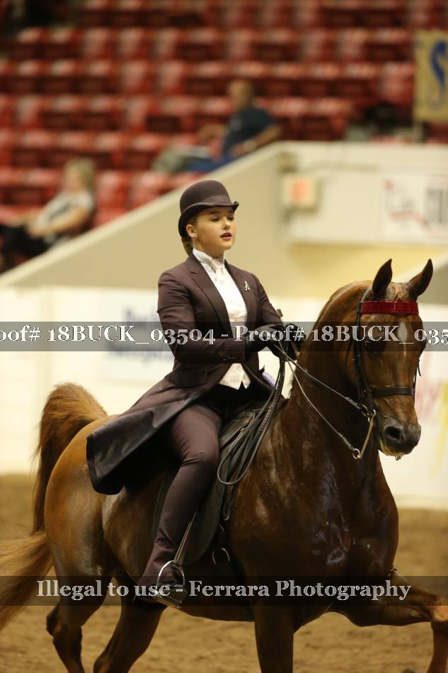 Proof 18BUCK_03504