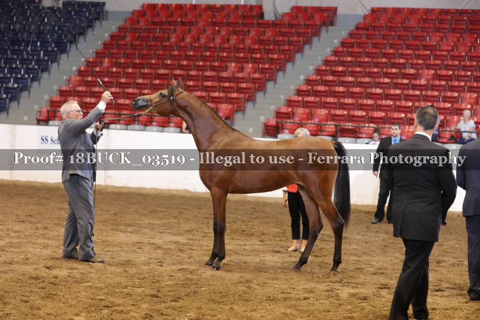 Proof 18BUCK_03519