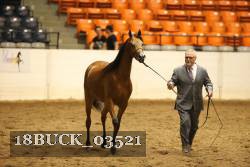 18BUCK_03521 proof