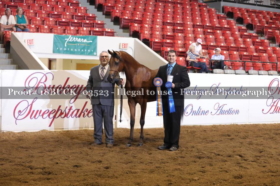 Proof 18BUCK_03523