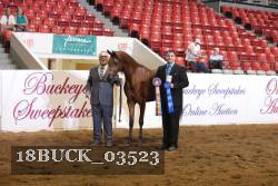 18BUCK_03523 proof