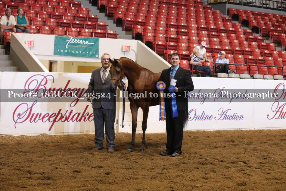 Proof 18BUCK_03524