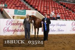 18BUCK_03524 proof