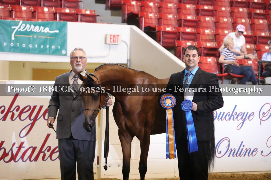 Proof 18BUCK_03525
