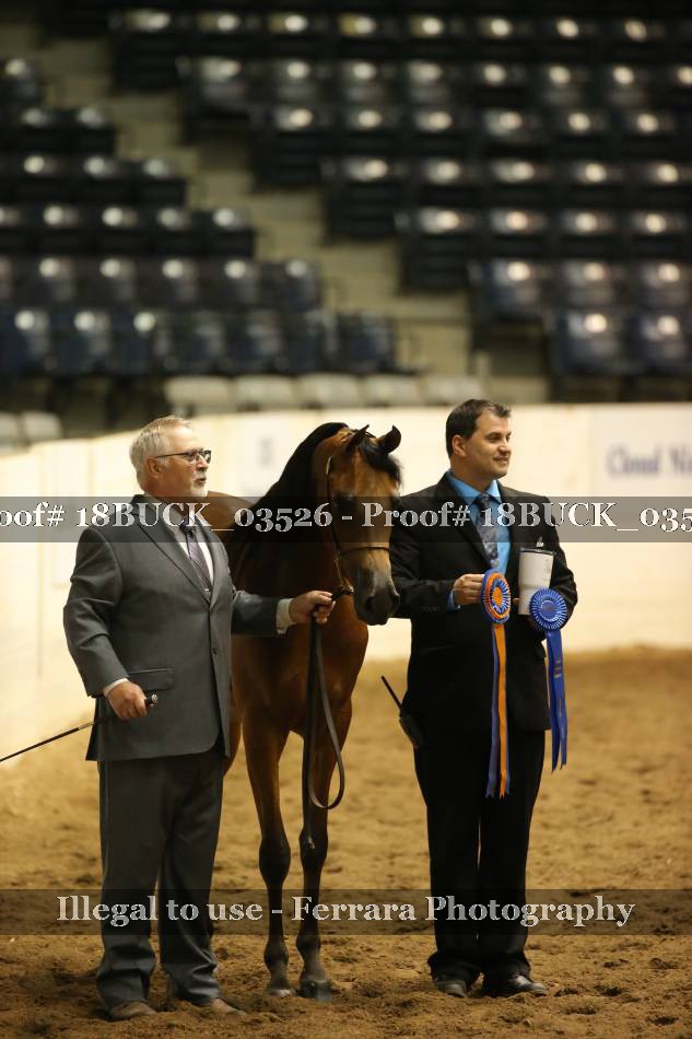 Proof 18BUCK_03526