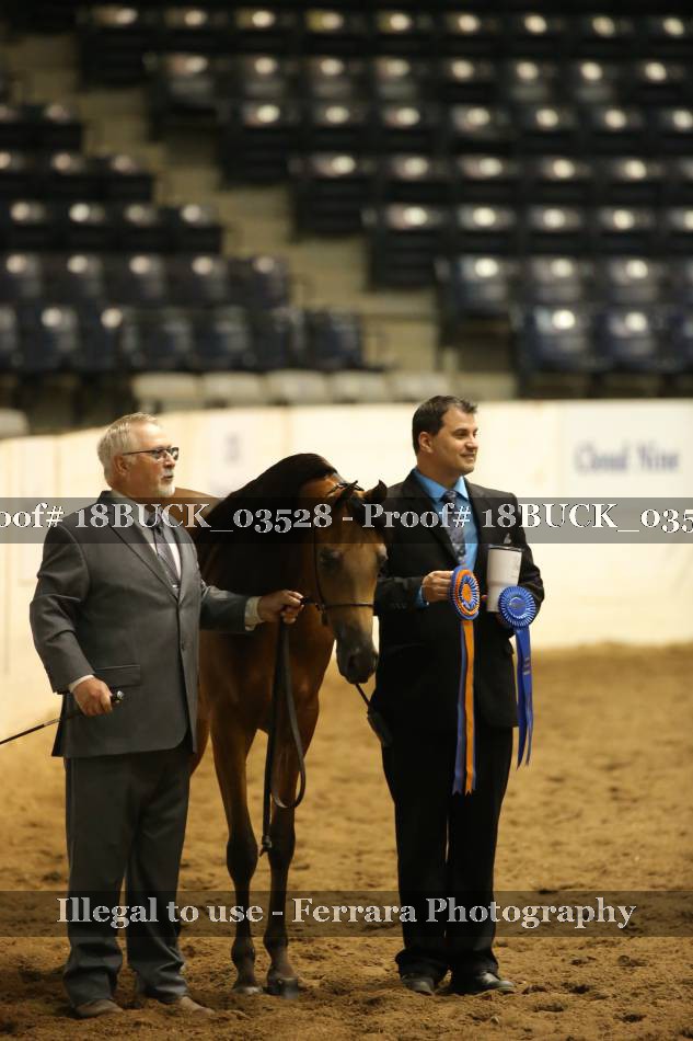 Proof 18BUCK_03528