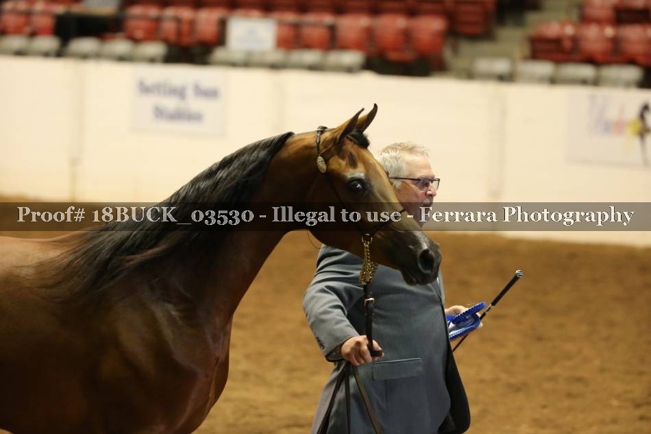 Proof 18BUCK_03530