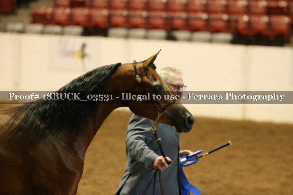 Proof 18BUCK_03531