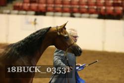 18BUCK_03531 proof