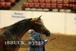 18BUCK_03532 proof